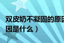 双皮奶不凝固的原因补救（双皮奶不凝固的原因是什么）