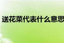 送花菜代表什么意思（送蔬菜花束什么含义）