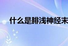 什么是腓浅神经末梢（什么是腓骨骨折）
