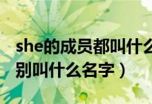 she的成员都叫什么名字（SHE里面的成员分别叫什么名字）