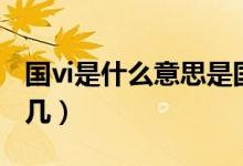 国vi是什么意思是国几（国vi是什么意思是国几）