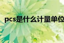 pcs是什么计量单位（pcs是什么计量单位）