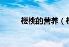 樱桃的营养（樱桃的营养是什么）