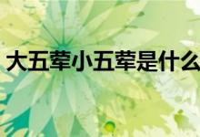 大五荤小五荤是什么（大五荤小五荤是什么）
