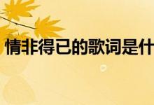 情非得已的歌词是什么（情非得已歌曲简介）