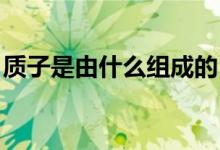 质子是由什么组成的（质子是什么 质子介绍）