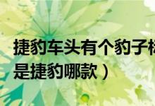 捷豹车头有个豹子标的什么型号（车头有豹子是捷豹哪款）