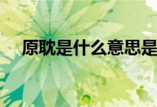 原耽是什么意思是啥（耽美是什么意思）