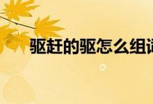 驱赶的驱怎么组词（驱赶的驱的意思）