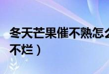 冬天芒果催不熟怎么办（冬天芒果催熟方法又不烂）
