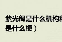 紫光阁是什么机构和紫光大饭店（紫光阁饭店是什么梗）