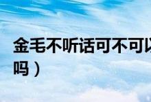 金毛不听话可不可以饿它（金毛不听话可以打吗）
