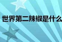 世界第二辣椒是什么（世界第二辣椒是什么）