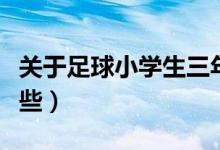 关于足球小学生三年级作文（关于足球小说哪些）