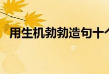 用生机勃勃造句十个字（用生机勃勃造句）