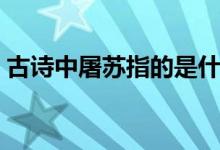 古诗中屠苏指的是什么（古诗中屠苏的意思）