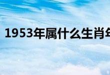 1953年属什么生肖年（1953年属什么生肖）