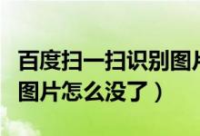 百度扫一扫识别图片怎么用（百度扫一扫识别图片怎么没了）
