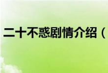二十不惑剧情介绍（二十不惑剧情简单介绍）