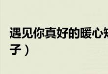 遇见你真好的暖心短句（遇见你真好的暖心句子）
