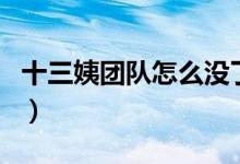 十三姨团队怎么没了（十三姨团队怎么不在了）