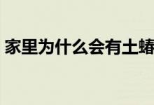 家里为什么会有土蝽（家里为什么会有蚰蜒）