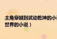 主角穿越到武动乾坤的小说有哪些（有没有穿越到武动乾坤世界的小说）