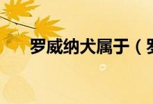 罗威纳犬属于（罗威纳犬有分哪几种）