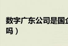 数字广东公司是国企吗（数字广东公司是国企吗）
