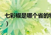 七彩椒是哪个省的特产（七星椒是哪儿的特产）