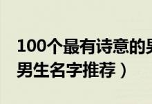 100个最有诗意的男生名（100个最有诗意的男生名字推荐）
