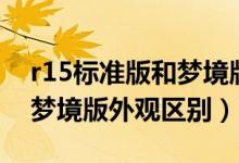 r15标准版和梦境版外观区别（r15标准版和梦境版外观区别）