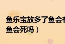 鱼乐宝放多了鱼会有什么反应（鱼乐宝放多了鱼会死吗）