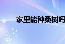 家里能种桑树吗（家里能种桑树吗）