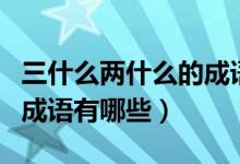 三什么两什么的成语四个字（三什么两什么的成语有哪些）