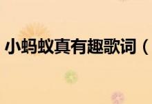 小蚂蚁真有趣歌词（小蚂蚁真有趣完整歌词）