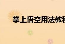 掌上悟空用法教程（掌上悟空怎么用）