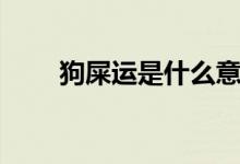 狗屎运是什么意思（狗屎运的意思）