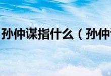 孙仲谋指什么（孙仲谋是谁 孙仲谋指的是谁）