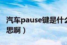 汽车pause键是什么意思（pause键是什么意思啊）