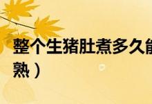 整个生猪肚煮多久能熟（一个猪肚要煮多久能熟）