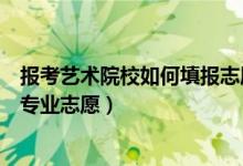 报考艺术院校如何填报志愿（艺术类考生如何填报高等学校专业志愿）