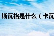 斯瓦格是什么（卡瓦斯和格瓦斯有什么区别）