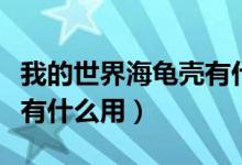 我的世界海龟壳有什么用呢（我的世界海龟壳有什么用）