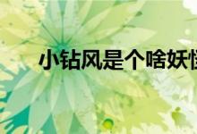 小钻风是个啥妖怪（小钻风是什么梗）