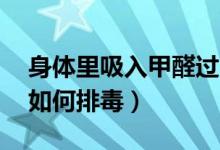 身体里吸入甲醛过多,怎么排毒（吸了甲醛后如何排毒）
