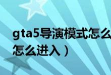 gta5导演模式怎么进入室内（gta5导演模式怎么进入）