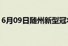 6月09日随州新型冠状病毒肺炎疫情最新消息