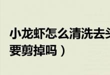 小龙虾怎么清洗去头（小龙虾怎么清洗头部需要剪掉吗）