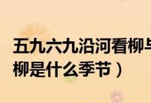 五九六九沿河看柳与啥有关（五九六九沿河看柳是什么季节）